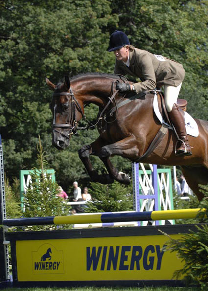 Sarah Cohen on Trequite